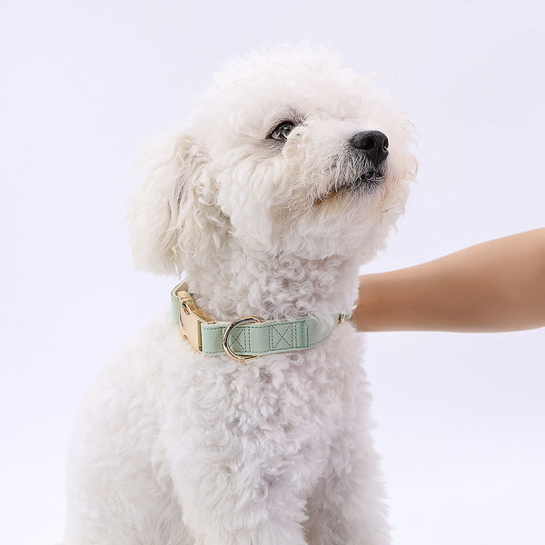 HKM-7828797 High-Quality Monochrome Pet Collar with Metal Buckle in Various Colors and Sizes S, M, L