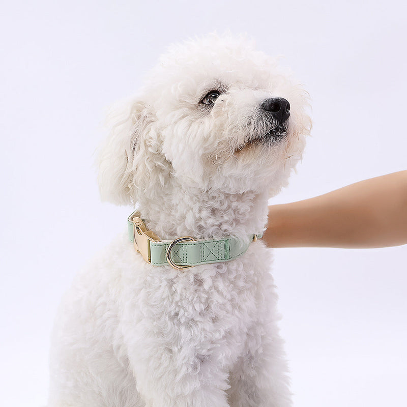 HKM-7828797 High-Quality Monochrome Pet Collar with Metal Buckle in Various Colors and Sizes S, M, L