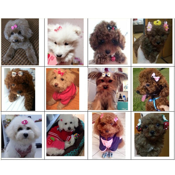HKM-7829053 Assorted 20pcs Double-Layer Pet Hair Bows - 3x4cm, Colorful Accessories for Pets