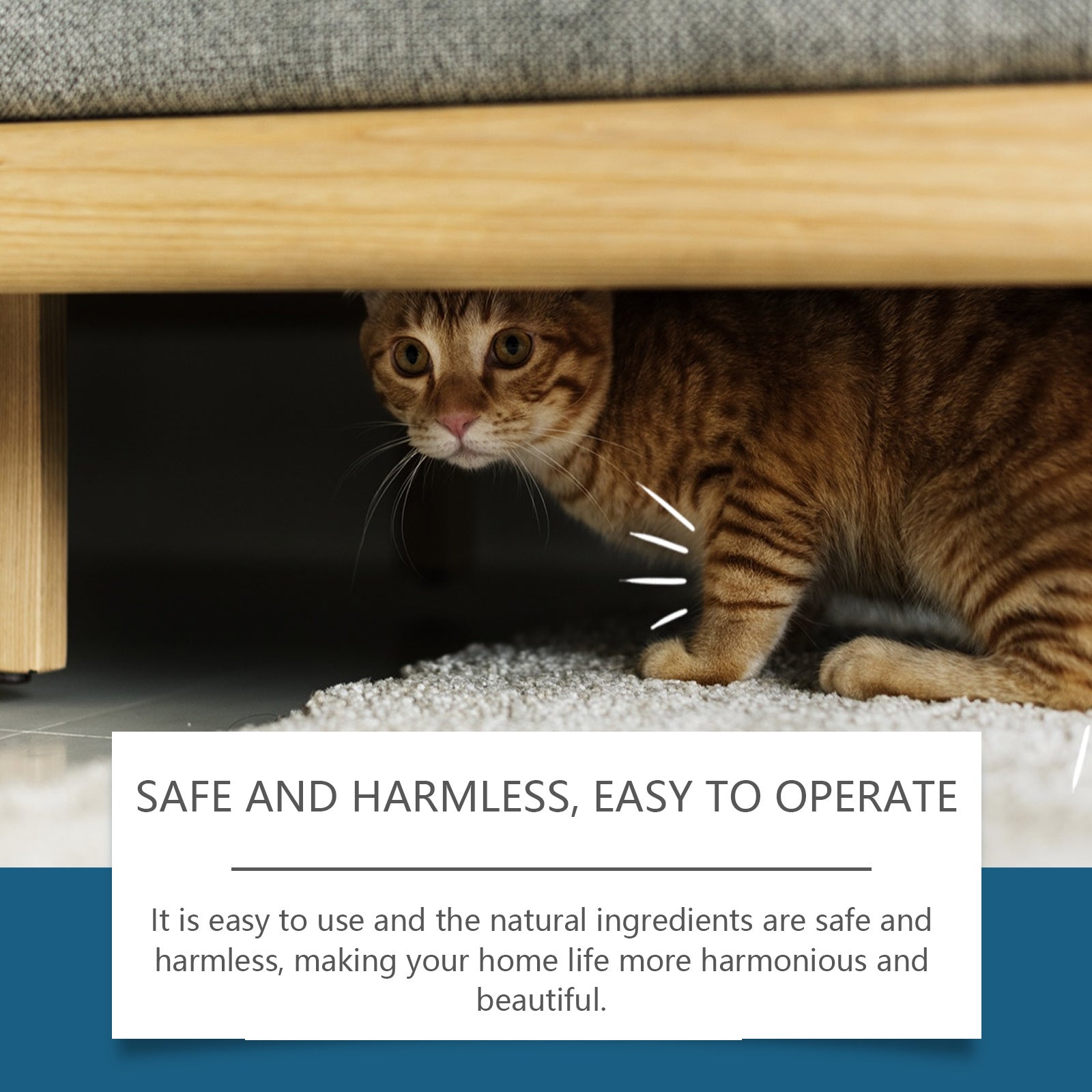 HKM-7830077 Indoor Cat Drive Spray - Pet Insect Repellent with Rosemary, Citrus, Garlic, and Mint Extracts - 100ml