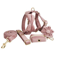 HKM-783955 Light Purple Velvet Dog Collar with Matching Leash and Bowknot, Ideal for Gifts on Various Occasions