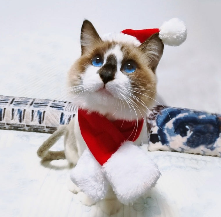 HKM-7839933 Christmas Hat and Scarf Set for Cats and Dogs - Red Short Plush, One Size