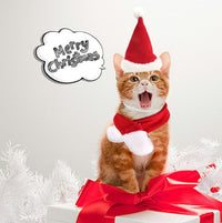HKM-7839933 Christmas Hat and Scarf Set for Cats and Dogs - Red Short Plush, One Size