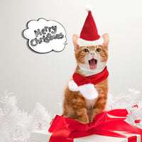 HKM-7839933 Christmas Hat and Scarf Set for Cats and Dogs - Red Short Plush, One Size