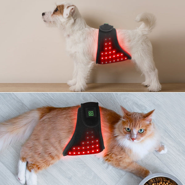 HKM-7853117 Pet Physiotherapy Infrared Therapy Belt for Home Use - Black, USB Rechargeable