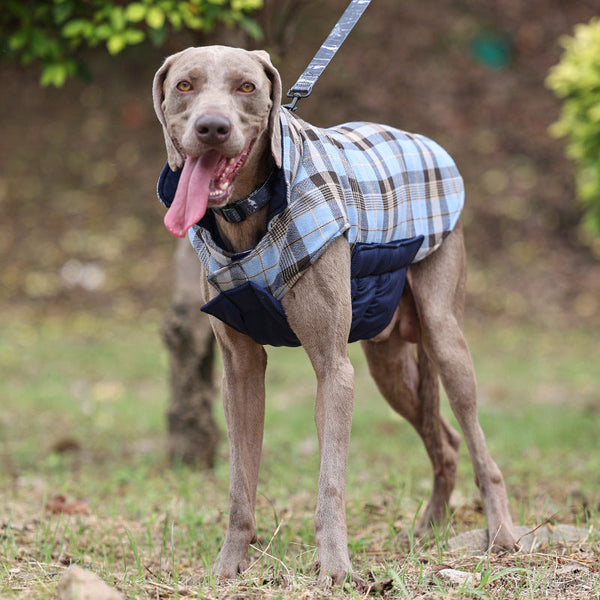 HKM-7865149 Double-Sided Waterproof Warm Dog Clothes in Various Colors and Sizes