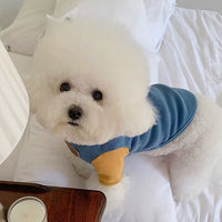 HKM-7871677 Casual Fashion Personality Pet T-Shirt for Small Dogs - Available in White, Blue, Pink
