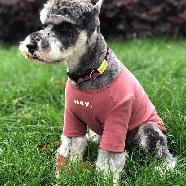 HKM-7881405 Pet Korean Simple Printed Cotton T-shirt - Available in Multiple Colors and Sizes