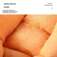 HKM-7884861 Double-Sided Removable Washable Cat Litter in Carrot Design - Pet Mattress, Medium and Large Sizes Available