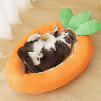 HKM-7884861 Double-Sided Removable Washable Cat Litter in Carrot Design - Pet Mattress, Medium and Large Sizes Available
