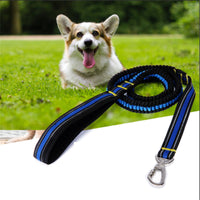 HKM-7886397 Reflective Elastic Traction Leash for Dogs - Durable Anti-Nylon, 2.5*100-170CM, Available in Blue and Orange
