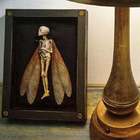 HKM-788819 Wooden Cursed Items Fairy Shadow Box Display - Halloween Scene Decor