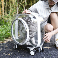 HKM-7888829 Transparent Portable Outdoor Trolley Case for Dogs and Cats - Solid Color Options Available