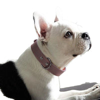 HKM-7889213 Medium Bell Anti-Lost Leather Pet Collar in Brown, Black, Green, and Pink