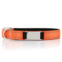 HKM-7894333 Customized Reflective Nylon Dog Collar with Neoprene Padding and Stainless Steel Tag