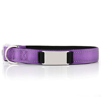 HKM-7894333 Customized Reflective Nylon Dog Collar with Neoprene Padding and Stainless Steel Tag