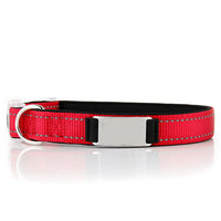 HKM-7894333 Customized Reflective Nylon Dog Collar with Neoprene Padding and Stainless Steel Tag