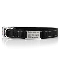 HKM-7894333 Customized Reflective Nylon Dog Collar with Neoprene Padding and Stainless Steel Tag