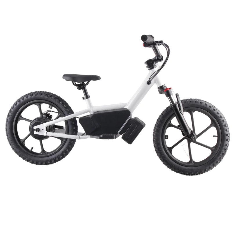 HKM-790099 16-Inch Electric Balance Bike for Kids Ages 6-12, 350W Motor, Aluminum Frame, Disc Brake, Front Suspension