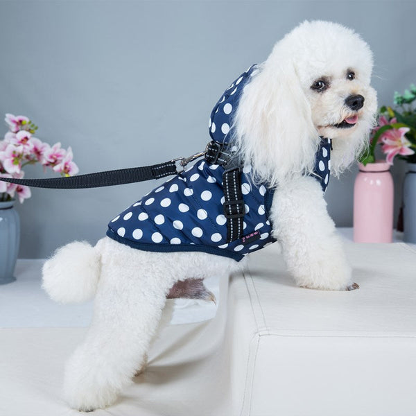 HKM-7902525 Cozy Polka-Dot Cotton-Padded Dog Vest in Pink and Blue with Plus Velvet Warmth