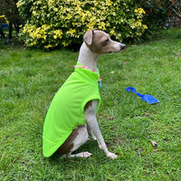 HKM-7904445 Breathable Anti Mosquito Vest for Pets - Fluorescent Green & Orange