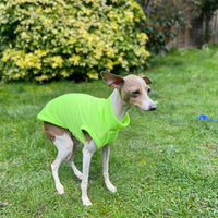 HKM-7904445 Breathable Anti Mosquito Vest for Pets - Fluorescent Green & Orange
