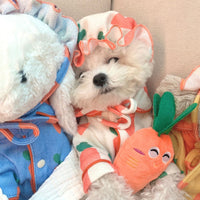 HKM-7908669 Plush Carrot Sound Toy for Dogs - Cute and Soft 8x5cm Orange Design