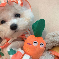 HKM-7908669 Plush Carrot Sound Toy for Dogs - Cute and Soft 8x5cm Orange Design
