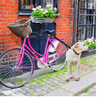 HKM-7913405 Adjustable Bicycle Dog Leash with Environmentally Friendly Handle and Stainless Steel Support