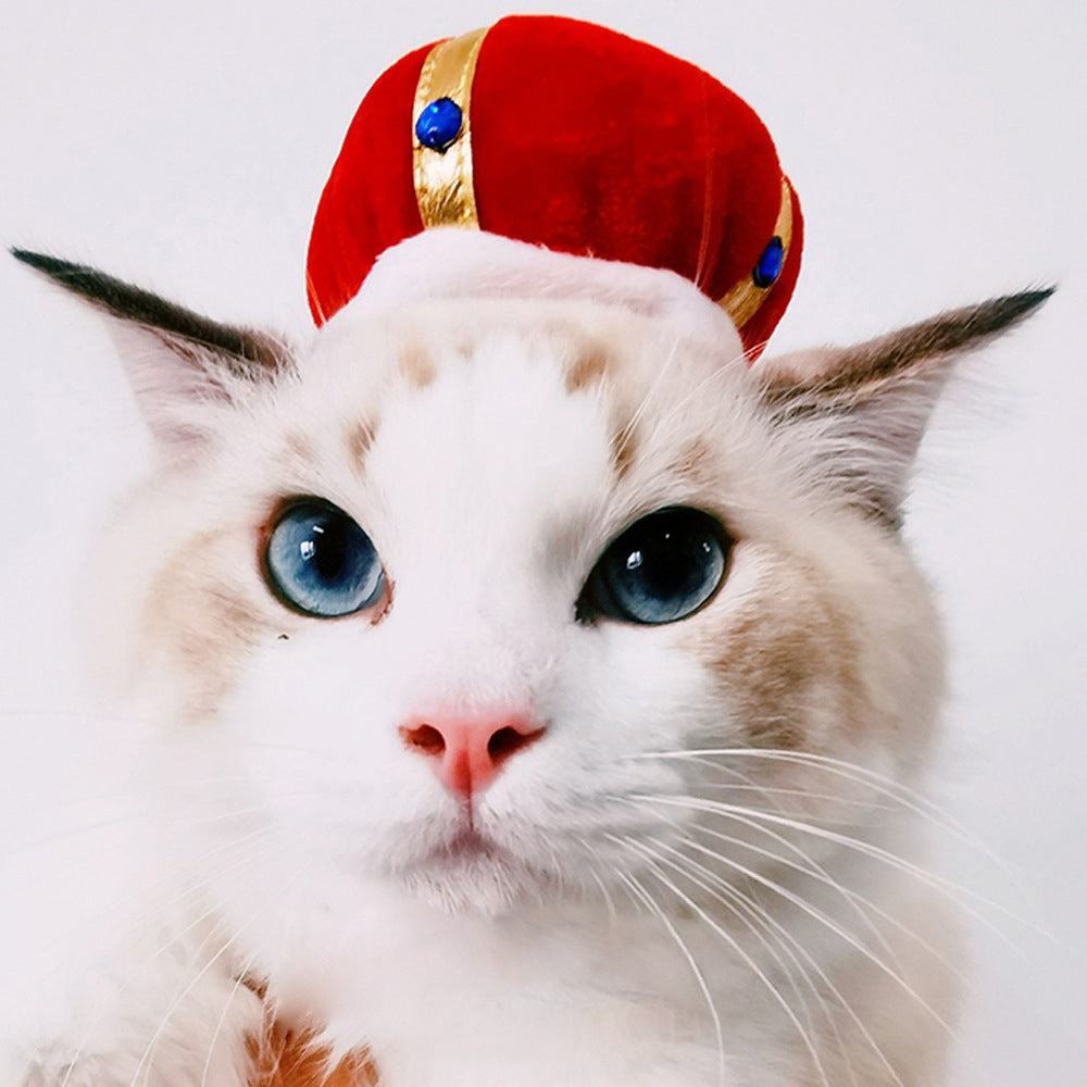 HKM-7915837 Cartoon-Style Plush Pet Hat for Cats and Dogs - Average Size Curly Hair Design