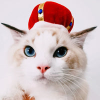 HKM-7915837 Cartoon-Style Plush Pet Hat for Cats and Dogs - Average Size Curly Hair Design