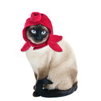 HKM-7915837 Cartoon-Style Plush Pet Hat for Cats and Dogs - Average Size Curly Hair Design