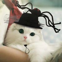HKM-7915837 Cartoon-Style Plush Pet Hat for Cats and Dogs - Average Size Curly Hair Design