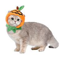 HKM-7915837 Cartoon-Style Plush Pet Hat for Cats and Dogs - Average Size Curly Hair Design