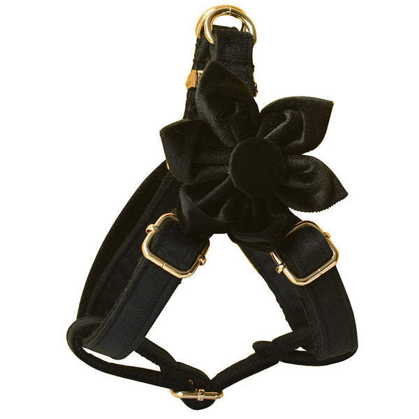 HKM-7918653 Black Flannel Dog Harness with Gold Buckle - Adjustable Chest Strap for Small to XL Pets