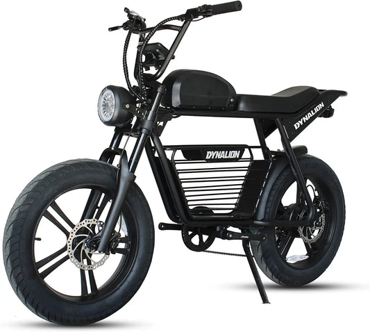 HKM-792915 48V 16Ah Electric Fat Tire Bike with 250W Motor, 7-Speed, Rear Hub, 20" Steel Frame, Disc Brakes