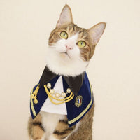 HKM-7929277 Handsome and Funny Cat Bib in Zombie and Duke Suit Designs - Polyester Material, Sizes S and L