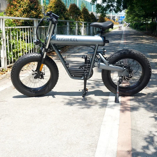 HKM-793683 20 Inch Fat Tire Electric Bicycle with 500W/1000W Motor, 48V, 7-Speed, Hydraulic Disc Brakes, Aluminum Alloy Frame