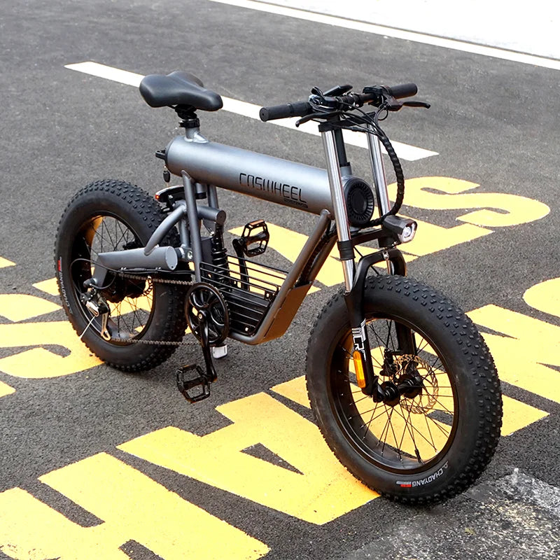 HKM-793683 20 Inch Fat Tire Electric Bicycle with 500W/1000W Motor, 48V, 7-Speed, Hydraulic Disc Brakes, Aluminum Alloy Frame