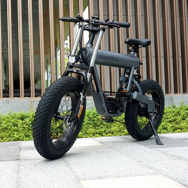 HKM-793683 20 Inch Fat Tire Electric Bicycle with 500W/1000W Motor, 48V, 7-Speed, Hydraulic Disc Brakes, Aluminum Alloy Frame