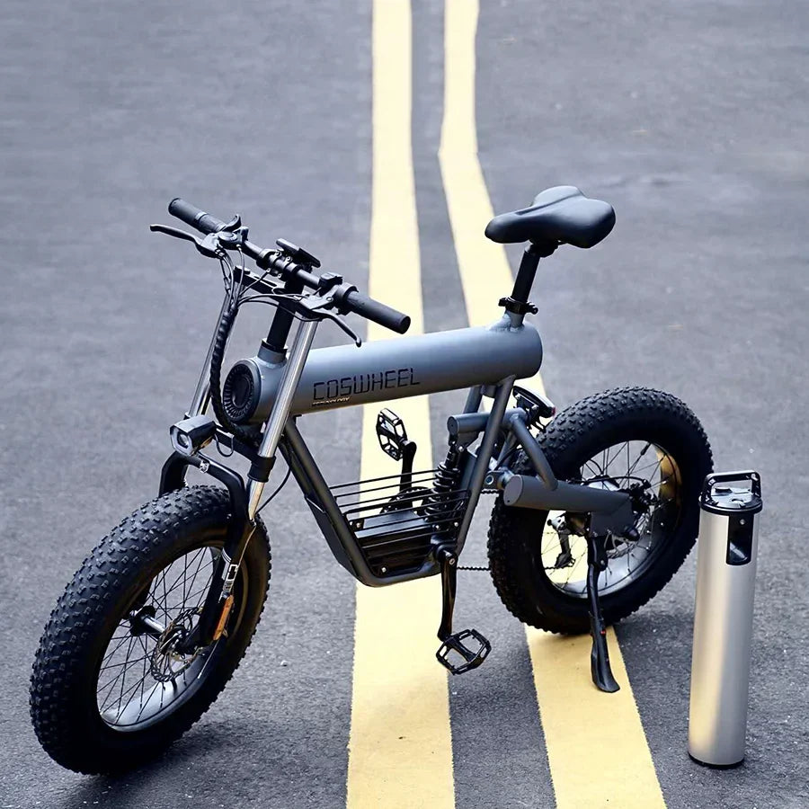 HKM-793683 20 Inch Fat Tire Electric Bicycle with 500W/1000W Motor, 48V, 7-Speed, Hydraulic Disc Brakes, Aluminum Alloy Frame
