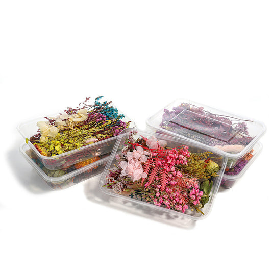 HKM-794067 Dried Flower Photo Frame Craft Kit with Everlasting Flowers