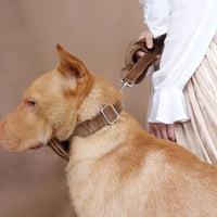 HKM-7946173 Nude Velvet Pet Collar with Adjustable Fit in XS to XL Sizes