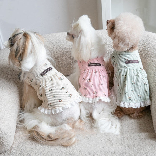 HKM-7946941 Embroidered Bear Vest for Pets - Casual Autumn & Winter Apparel in Multiple Colors and Sizes