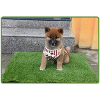 HKM-7955389 Washable Reusable Dog and Cat Toilet Training Mat with Artificial Grass - Available in Multiple Sizes