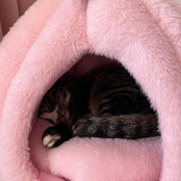 HKM-7959357 Cozy Pink Cat House - Soft Tent Cave with Removable Cushion Pad for Indoor Cats