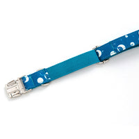 HKM-7959869 Outdoor Safety Nylon Dog Walking Collar - Available in Multiple Sizes: XS to XL