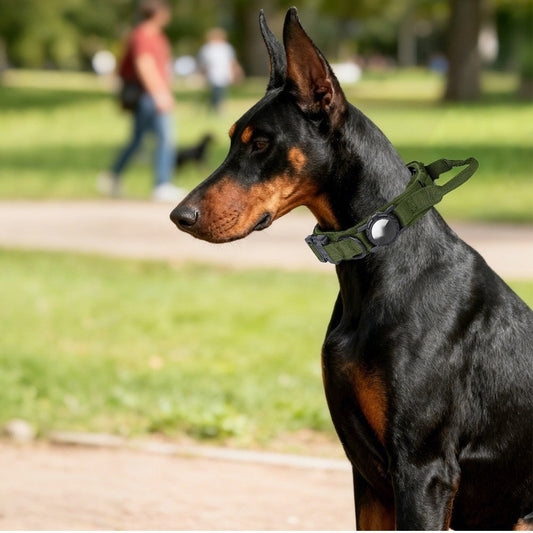 HKM-7965629 Tactical Dog Collar in Outdoor Nylon - Multiple Colors and Sizes Available