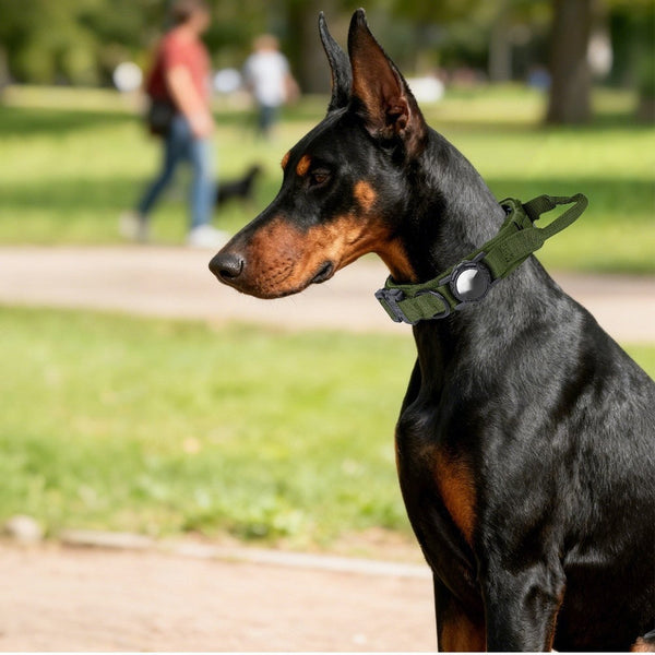 HKM-7965629 Tactical Dog Collar in Outdoor Nylon - Multiple Colors and Sizes Available
