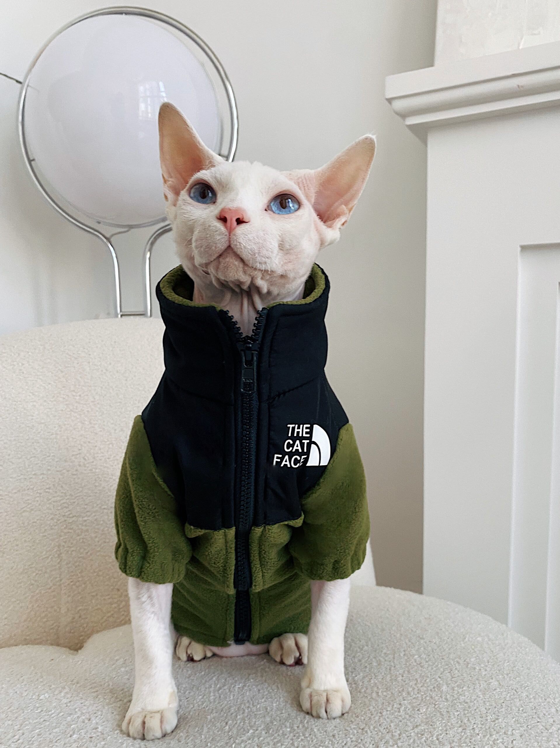 HKM-7967805 Cozy Coral Fleece Cat Clothes in Army Green, Sapphire Blue, and Beige - Multiple Sizes Available